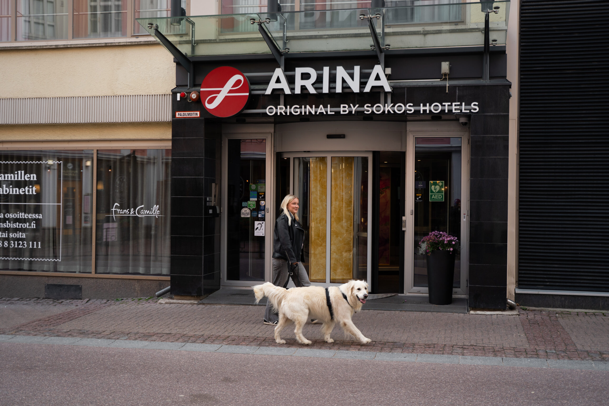 Koiran kanssa Oulussa – koiraystävälliset hotellit, ravintolat ja vinkit matkalle